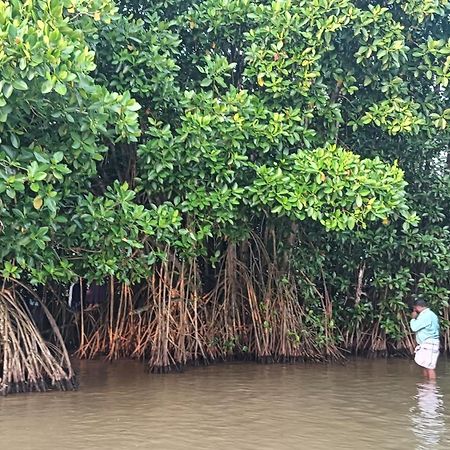 Dilkush Munroe Homestay Kollam Eksteriør billede